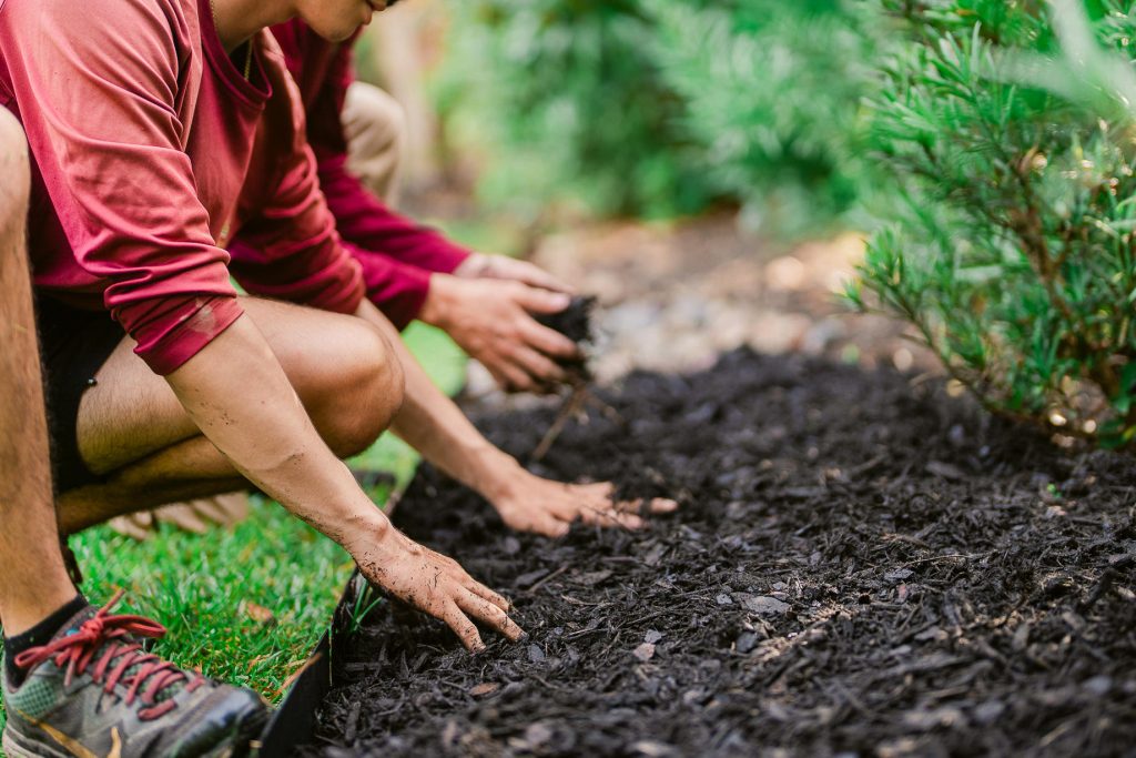 Myrtle-Beach-Landscaping-Company-44-1