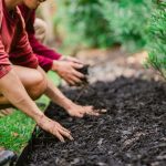 Myrtle-Beach-Landscaping-Company-44-1