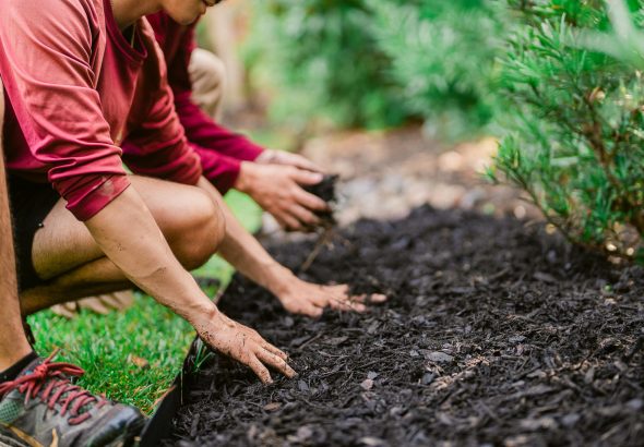 Myrtle-Beach-Landscaping-Company-44-1